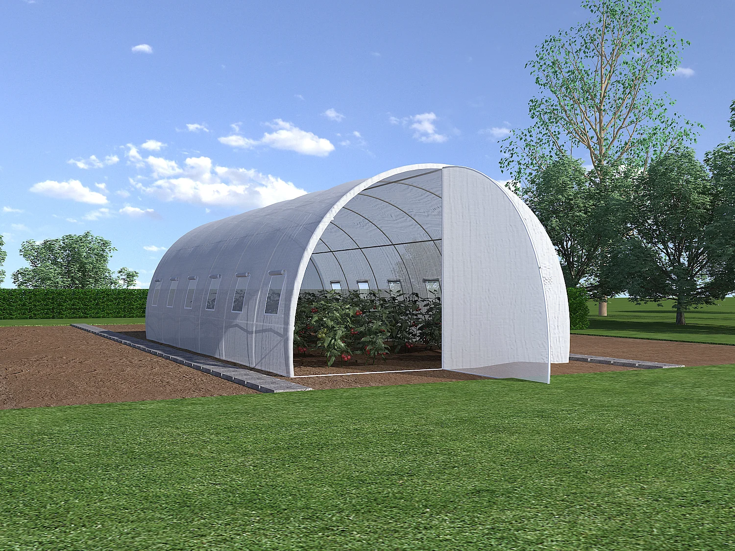 Foliowe pokrycie do szklarni tunelowej z drzwiami ALOCASIA, 18 m² – 600 × 300 × 200 cm (dł. × szer. × wys.) 124151 - obrazek 1
