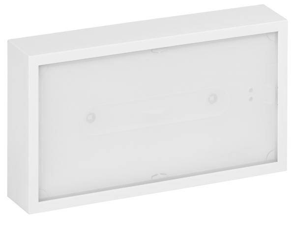 Ramka tworzywo sztuczne (S x W) 120 mm x 41 mm 1 szt.